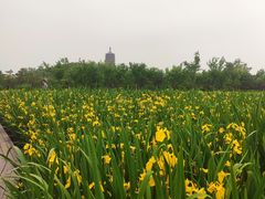 -永定河休闲森林公园