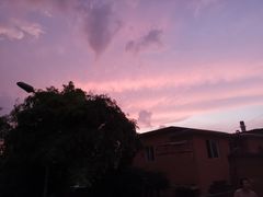 -金紫荆松骨休闲水会