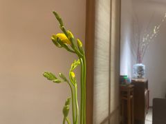-菩提素素食餐厅(晶郦馆店)