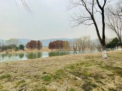 -长广溪湿地公园