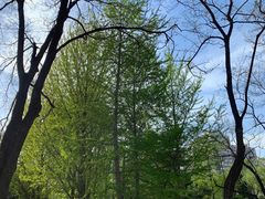 -元大都城垣遗址公园