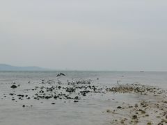 -长岛南北长山旅游景区