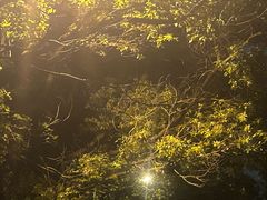 -好乐迪KTV(紫荆广场店)