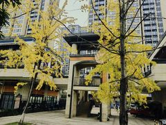 -雍容荟帝王蟹活龙虾展台自助(IFS黑金店)