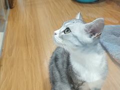 -龟与熊猫宠物公园(南坪店)