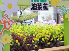 -顺联广场(陈村店)