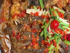 -老板恋上鱼(恒隆广场店)