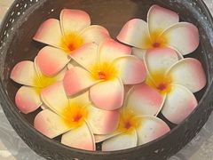-泰禾馨·泰式按摩精油SPA(华荣大厦店)