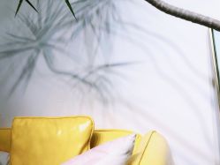 -杨丹国际美学肌研所