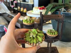 -济南凯宾斯基酒店-THE VIEW云景全日制餐厅