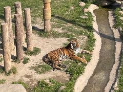 -上海野生动物园
