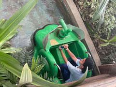 -南宫五洲植物乐园