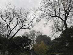 -拙政园