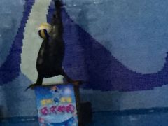 -左海海底世界