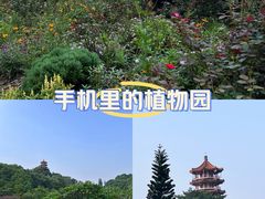 -深圳市中科院仙湖植物园