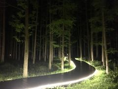 -黄海国家森林公园