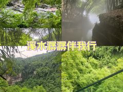 -川西竹海景区