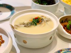 东坡河豚-肆月河豚·新淮扬(金融街店)