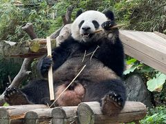 -广州长隆野生动物世界