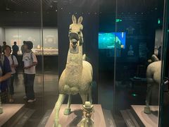 -广西壮族自治区博物馆