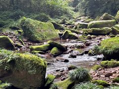 -碧峰峡风景区
