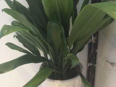 -湯島涮小火锅(余姚五彩城店)