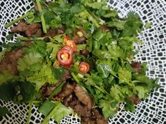 香菜牛肉-掌上鲜(南顺城街店)