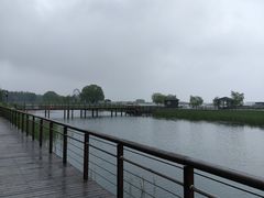-苏州太湖湖滨国家湿地公园
