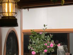 -动邦皮划艇·桨板·独木舟·团建户外运动俱乐部