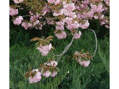 -隹木咖啡馆(宝龙广场店)