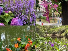 -人民公园(罗湖区)