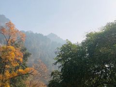 -北京上方山国家森林公园