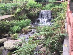 -藏龙百瀑风景区