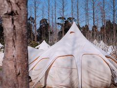 -前小桔亲子创意农场·草莓采摘·露营烧烤