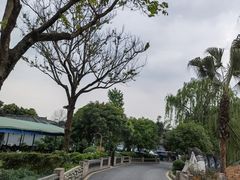 -马帮寨院坝火锅(龙港公园店)