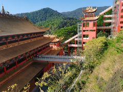 -东莞市大岭山森林公园
