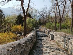 -阳台山自然风景区