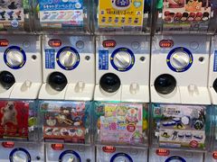 -蛋库(朝阳大悦城店)