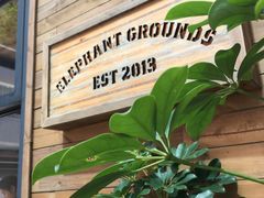 -Elephant Grounds(STARSTREET)