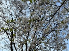 -青岛奥林匹克帆船中心