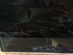 -海鲜码头·中国菜