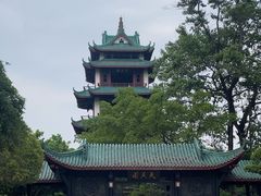 -桂湖森林公园
