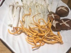 -掂档潮汕牛肉火锅(沈阳万象城店)