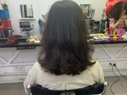 -SALON V