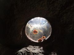 -珠海长隆海洋王国