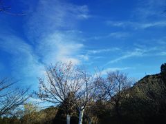 -佛慧山
