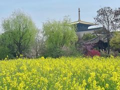 -广富林郊野公园