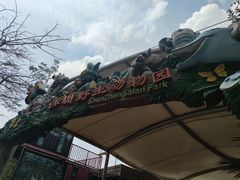 -深圳野生动物园