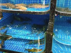 水产区-東城故事·尋找姆媽的味道(玉兰路店)