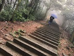 -西湖风景区十里琅珰-五云山